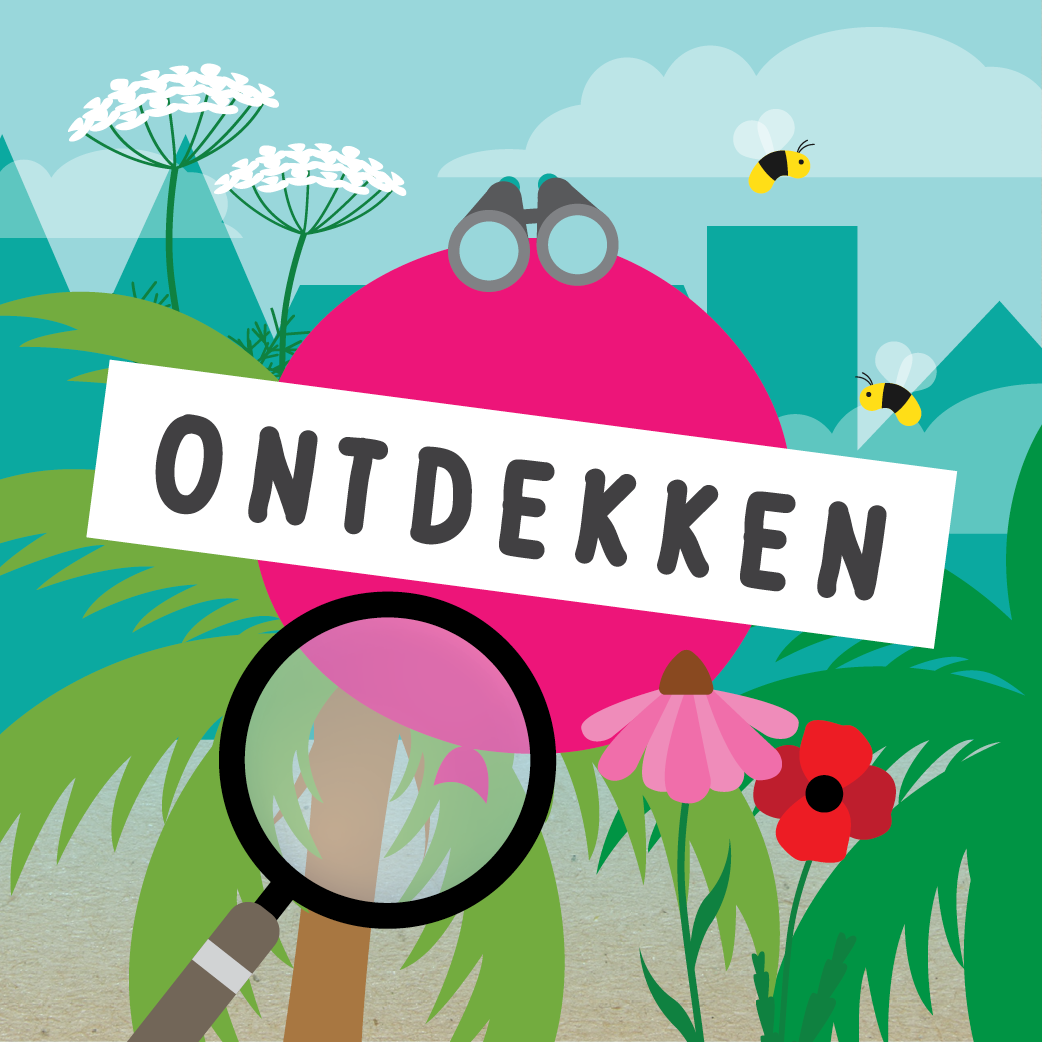 ZomerPretPas Ontdekken