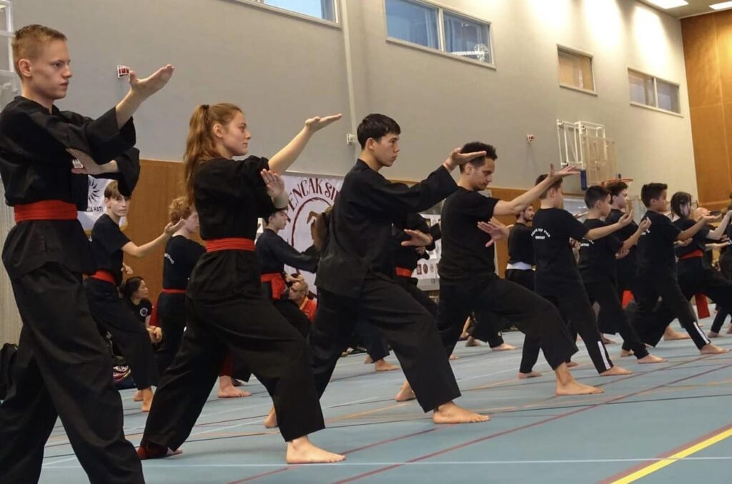 Pencak Silat
