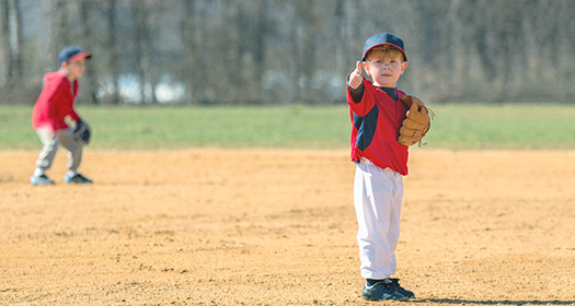 BeeBall