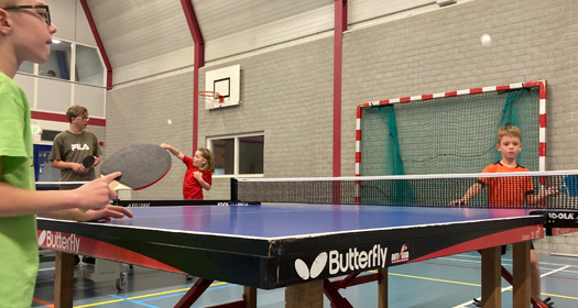 Tafeltennis